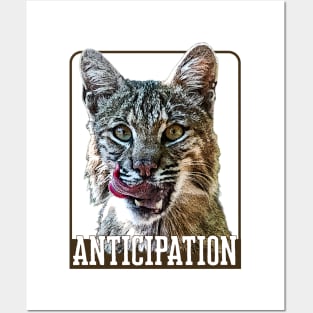 Anticipation- bobcat Posters and Art